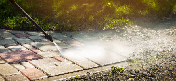Best Roof Cleaning and Mildew Removal in Sargent, TX